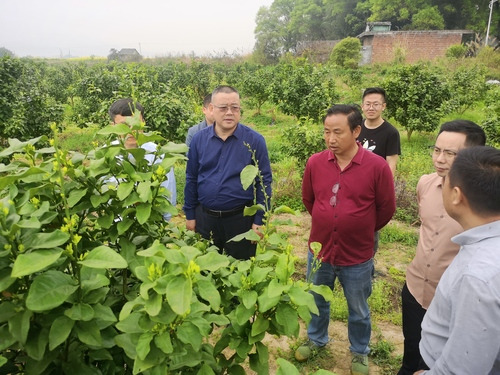 华体会官方版网站登录入口：何福林率博士团赴邑口村开展服务 助力乡村振兴