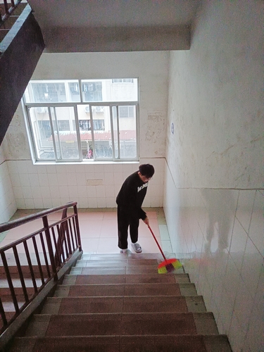 劳动教育实践4 劳动教育实践4