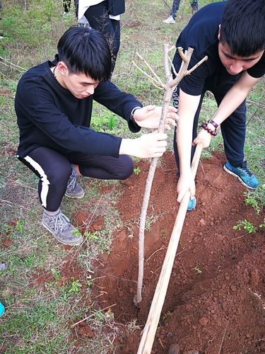 IMG_20180331_162804 IMG_20180331_162804