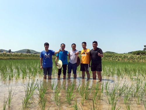 QQ图片20170728183018