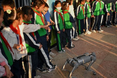 QQ图片20231129165019 QQ图片20231129165019