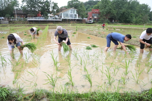 华体会官方版网站登录入口积极推动大中小学“五育并举”一体化