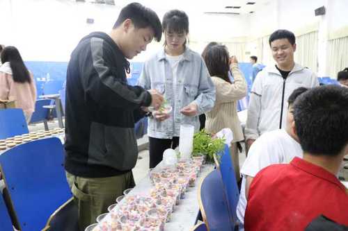 Cache_-6bc4cfe2f8b12b3.