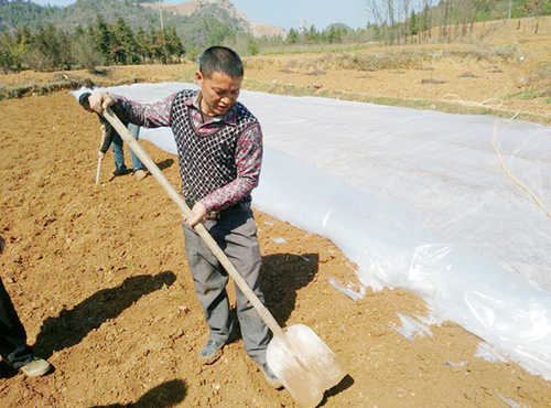 QQ图片20170216112902x QQ图片20170216112902x