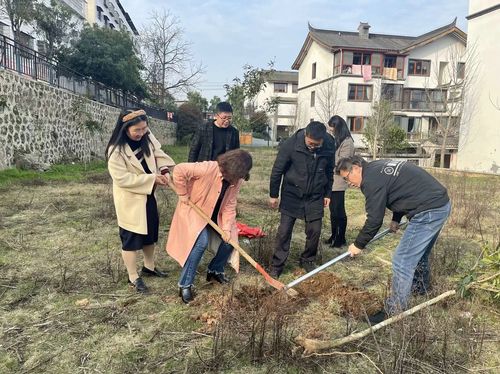 20240320柳子街社区植树 (2) 20240320柳子街社区植树 (2)