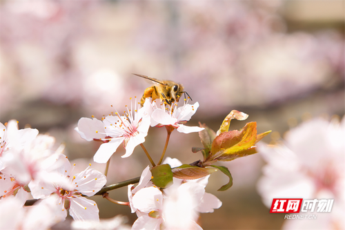 1678843060856-7ghbs44zic