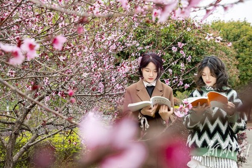 春暖花开校园美