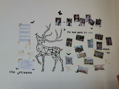 QQ图片20211111100713