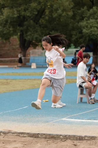 微信图片_20231105153124 微信图片_20231105153124