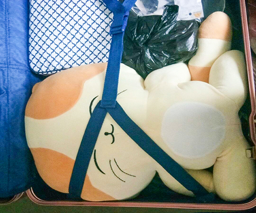 C378CAC7C790A5EA27F537D991632248(1)