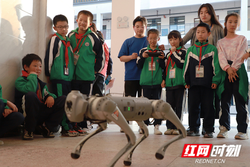 132163_500x500 132163_500x500